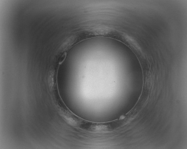 X0000069800501200605261726