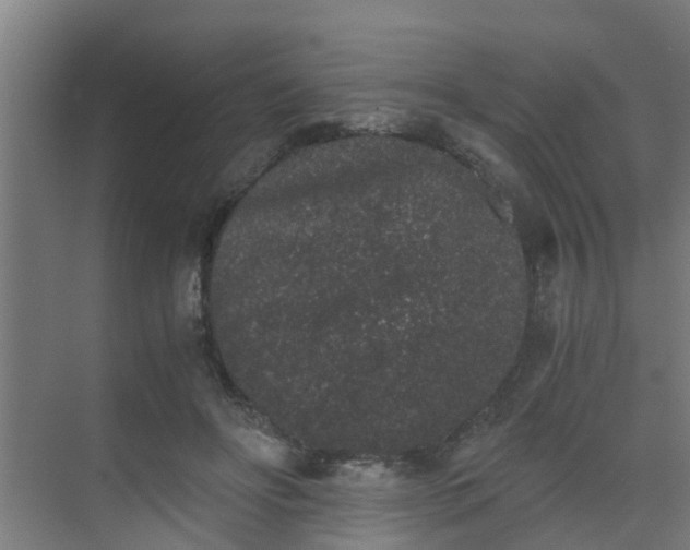 X0000069800502200605261726