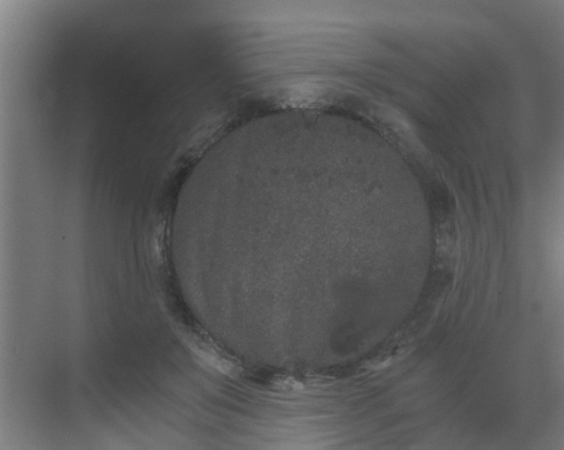 X0000069800503200605261726