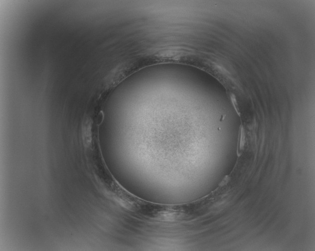 X0000069800504200605261726