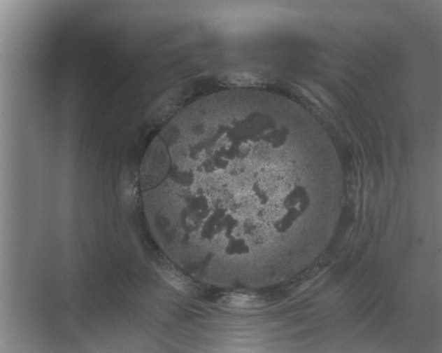 X0000069800507200605261726