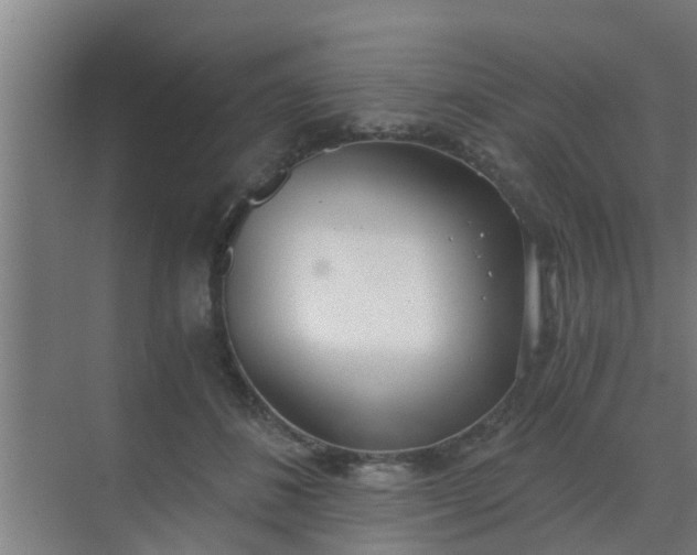 X0000069800508200605261726