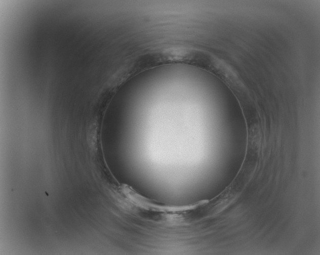 X0000069800509200605261726