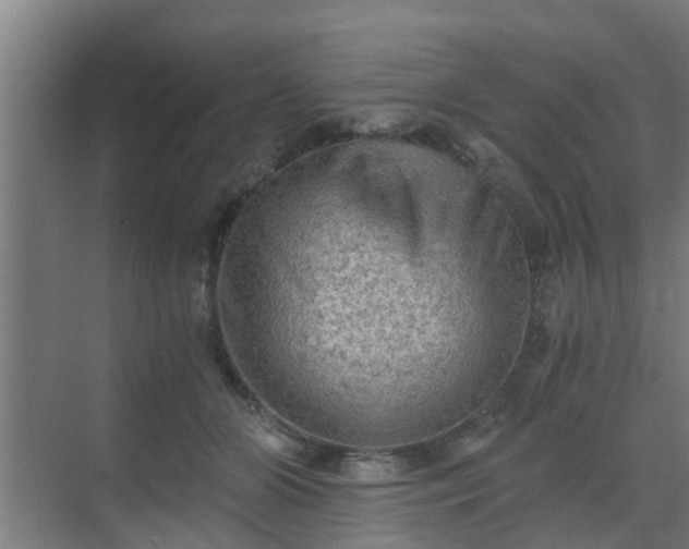 X0000069800510200605261726