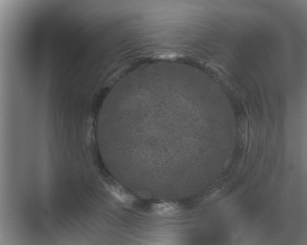 X0000069800511200605261726