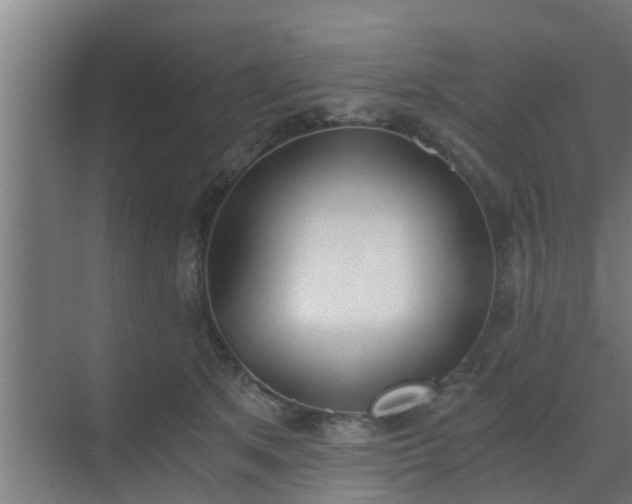 X0000069800513200605261726