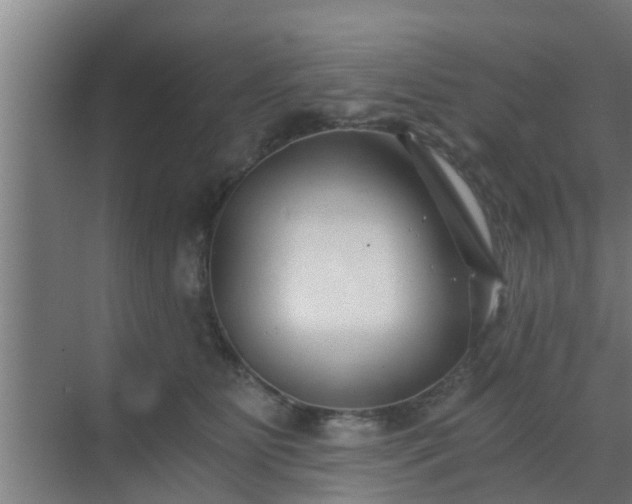 X0000069800515200605261726