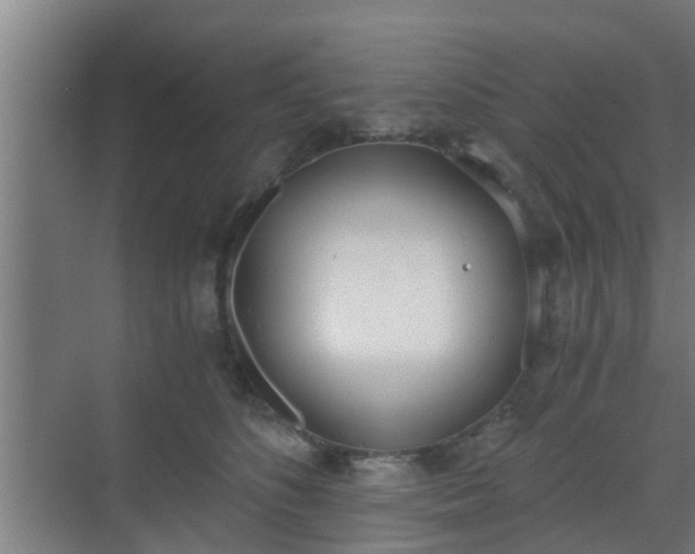 X0000069800516200605261726