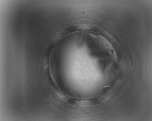 X0000069800517200605261726