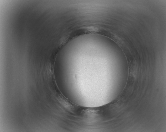 X0000069800518200605261726