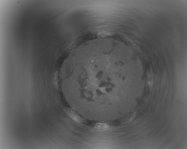 X0000069800519200605261726