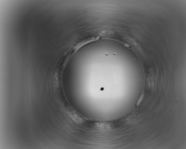 X0000069800520200605261726