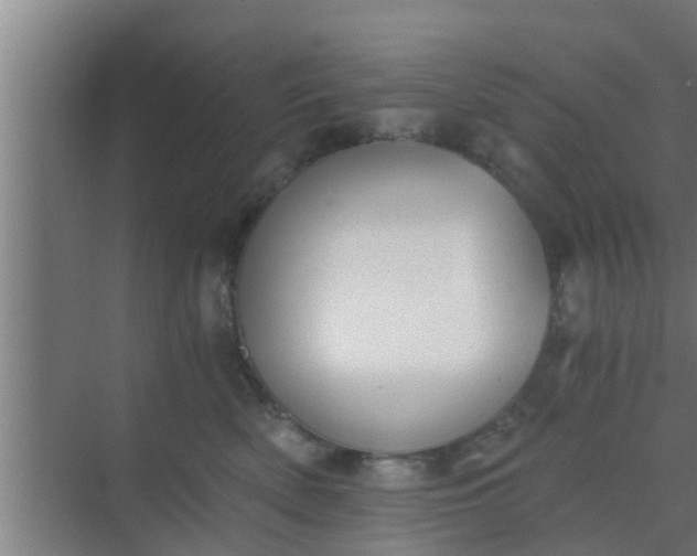 X0000069800522200605261726