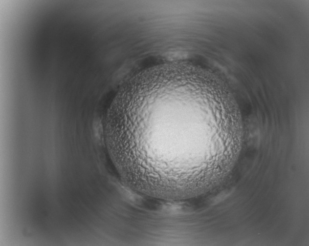 X0000069800523200605261726