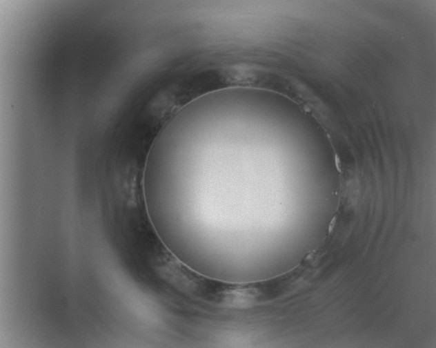 X0000069800525200605261726