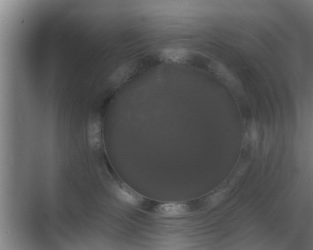 X0000069800526200605261726