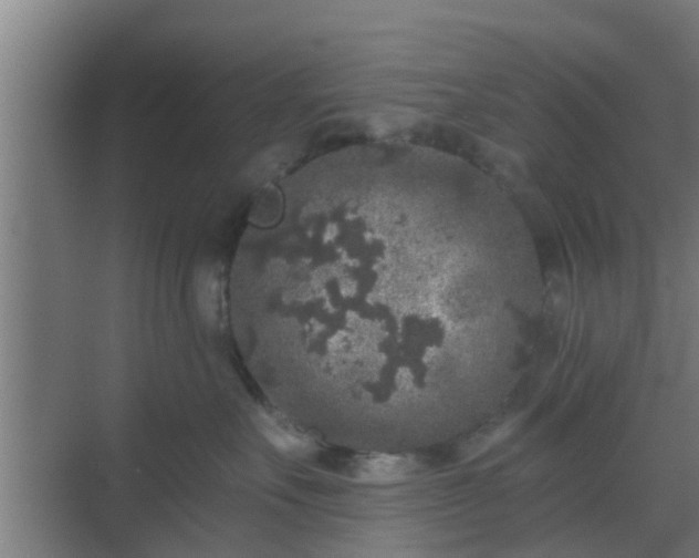 X0000069800527200605261726