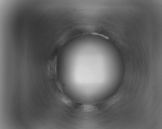 X0000069800528200605261726