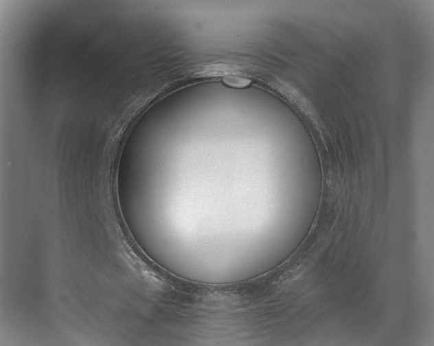 X0000069800529200605261725