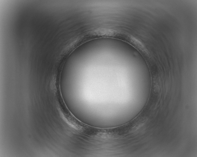 X0000069800538200605261725