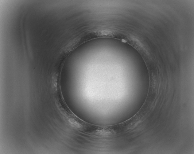 X0000069800545200605261725