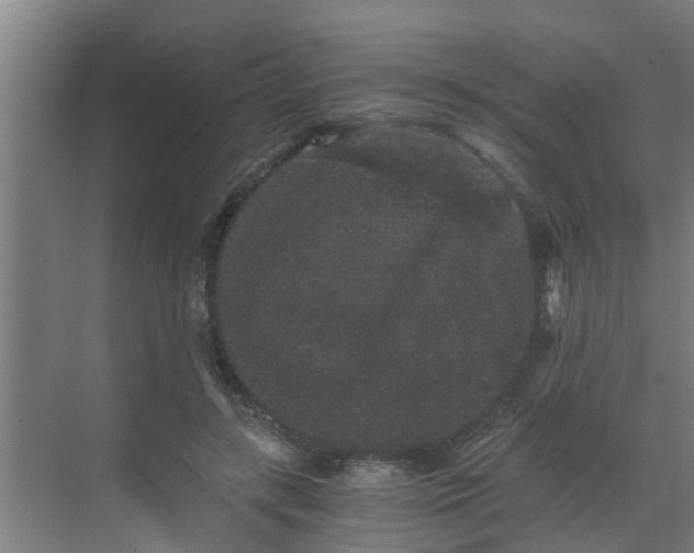 X0000069800547200605261725