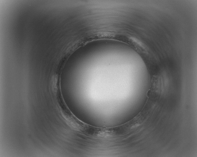 X0000069800550200605261725