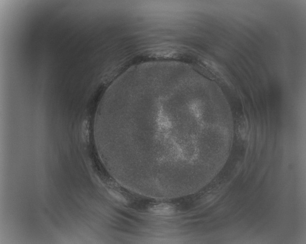 X0000069800551200605261725