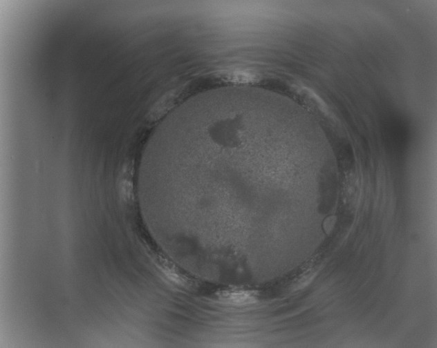 X0000069800553200605261725