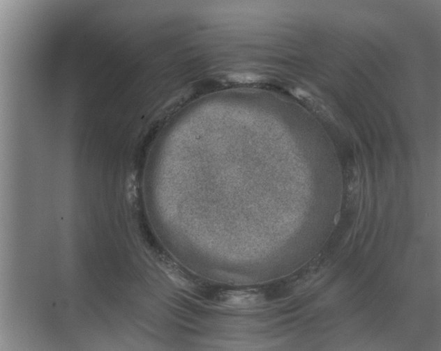 X0000069800555200605261725