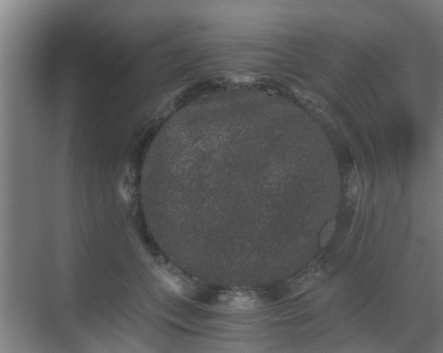 X0000069800559200605261725