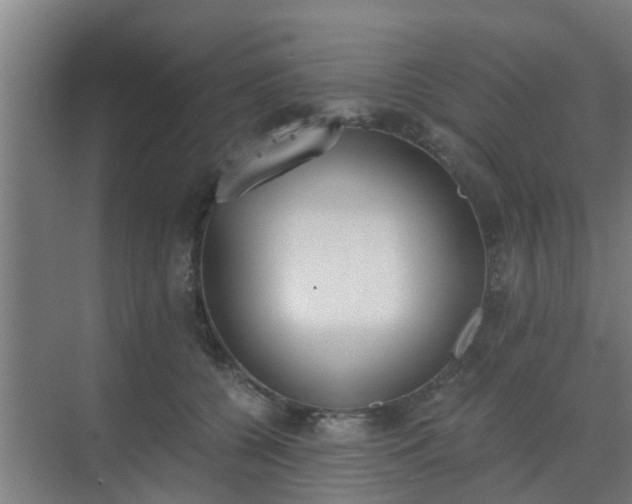 X0000069800560200605261725