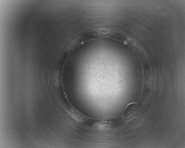 X0000069800563200605261725