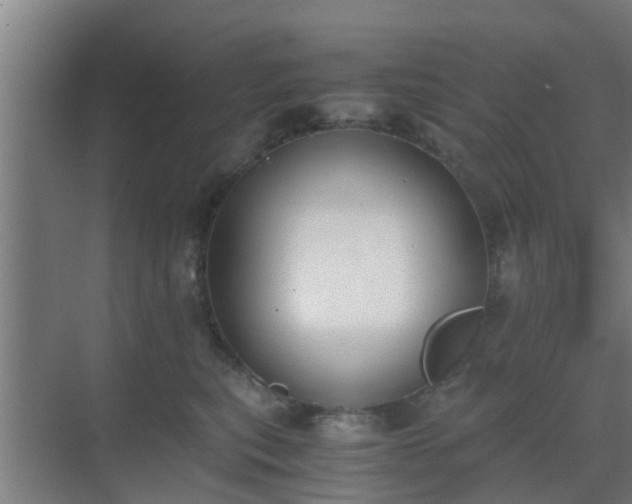 X0000069800567200605261726