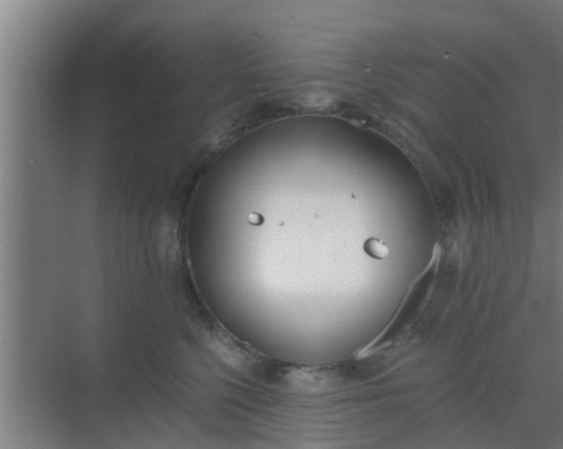 X0000069800568200605261726