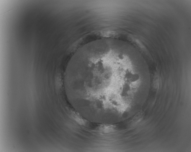 X0000069800569200605261726