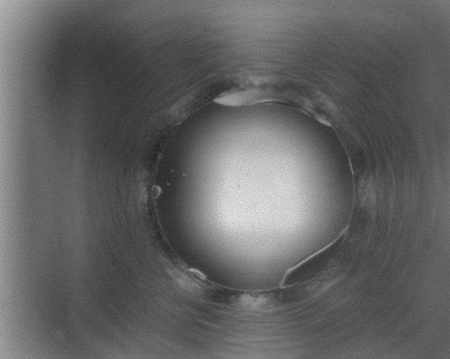 X0000069800570200605261726