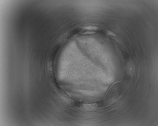 X0000069800571200605261726