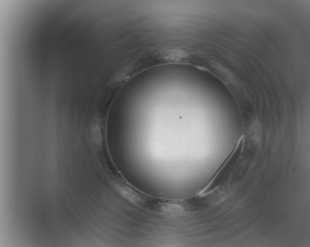 X0000069800572200605261726