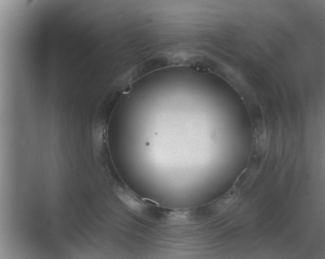 X0000069800574200605261726