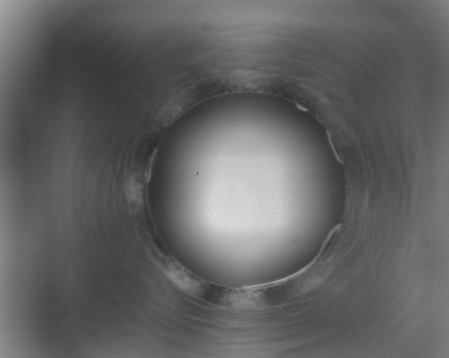 X0000069800576200605261726