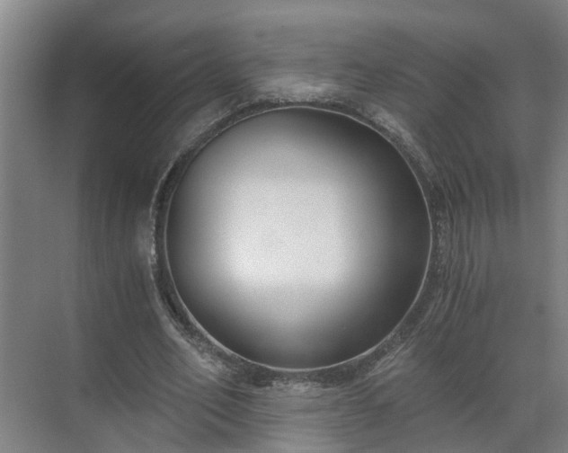 X0000069800582200605261725