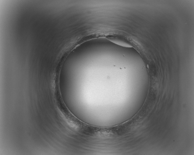 X0000069800586200605261725