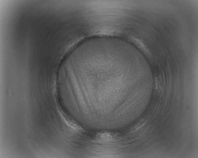 X0000069800588200605261725