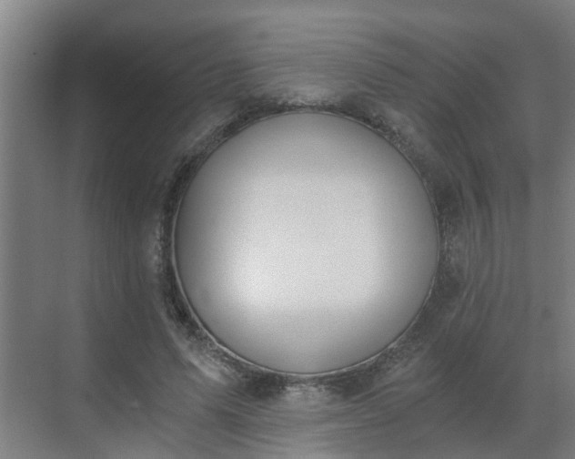 X0000069800591200605261725