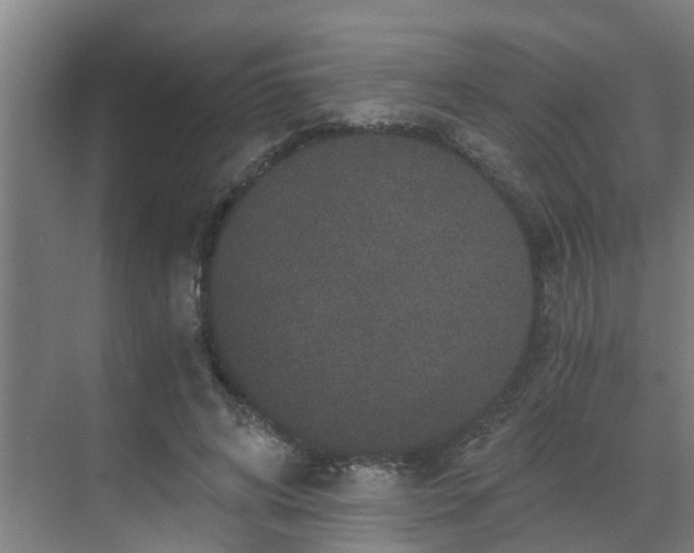 X0000069800592200605261725