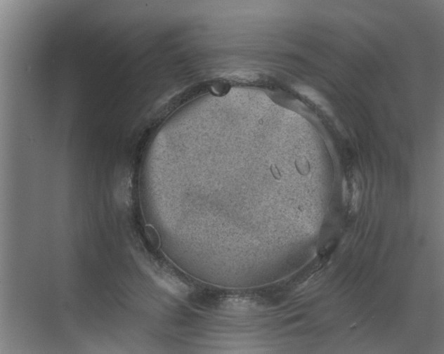 X0000069800596200605261725