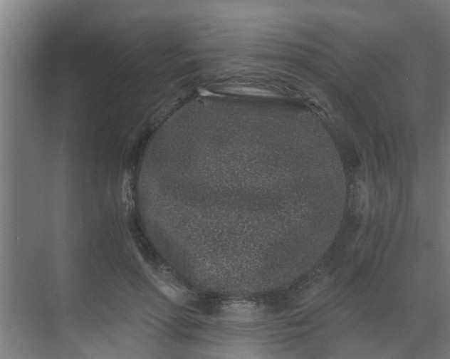 X0000069800598200605261725