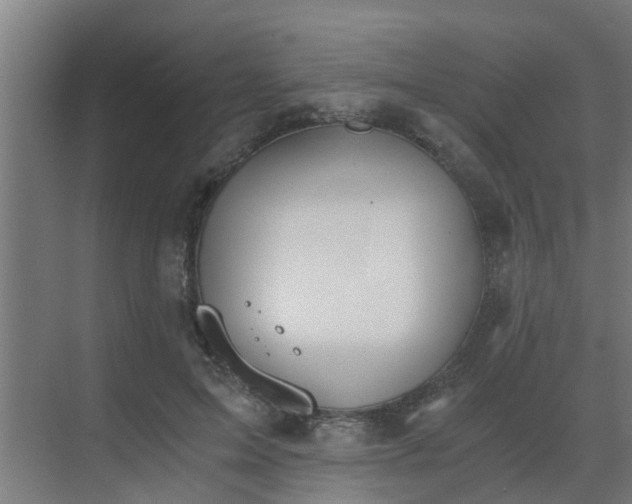 X0000069800599200605261725