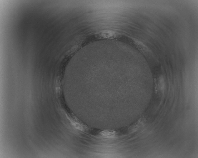 X0000069800606200605261724